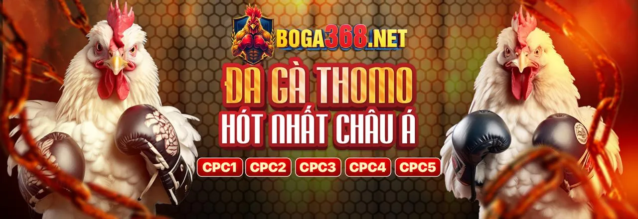 Biểu tượng an toàn sòng bạc trực tuyến của Gà Thôm, với lá chắn bảo vệ và giao diện hiện đại