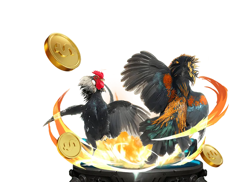 Tổng quan nền tảng gà thôm an toàn và đáng tin cậy